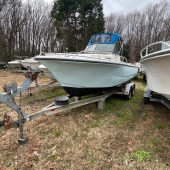1984 Proline 23' Walkaround / Cuddy Cabin
