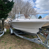 Wellcraft V21 - Hull only