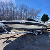 Sea Ray 240 Bow Rider 25'-6" - Complete Rig
