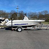  1996 Wellcraft 19'7" - Complete Rig