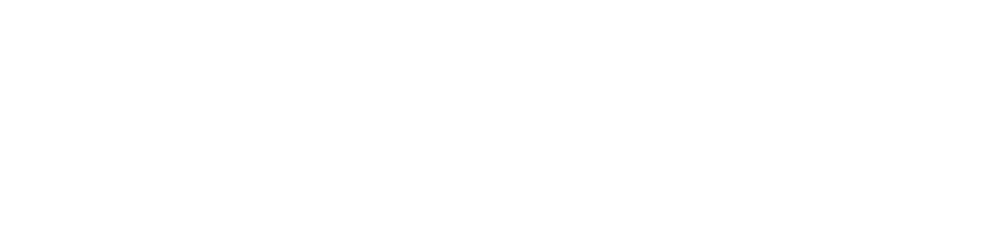 BudgetBoats-Web-Logo-White